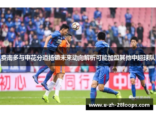 费南多与申花分道扬镳未来动向解析可能加盟其他中超球队